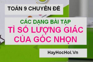 [Tổng hợp] Các dạng bài tập về tỉ số lượng giác của góc nhọn Toán 9
